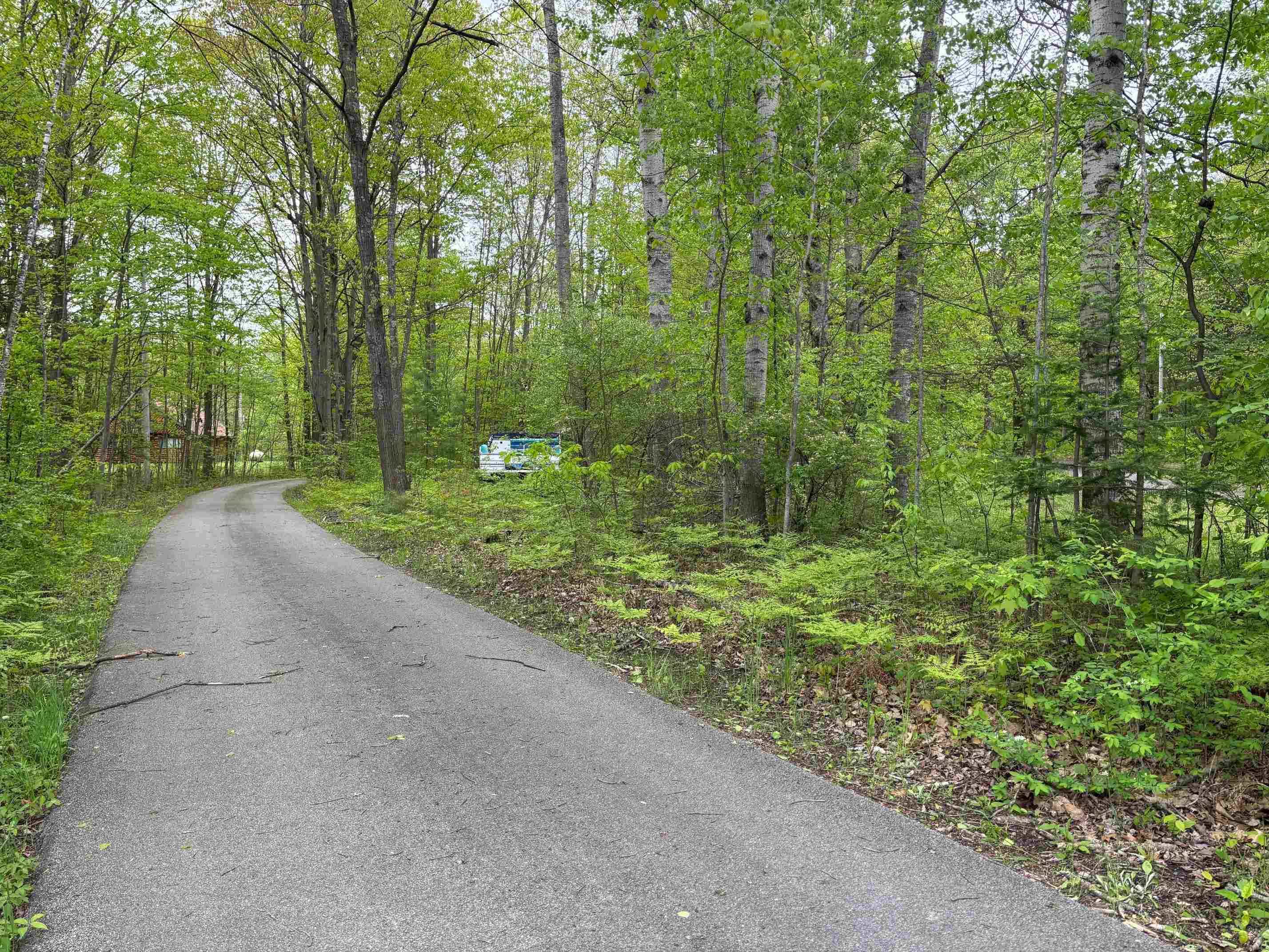 2913 West Howard Road Beaverton, MI 48612 - Photo 82 of 84