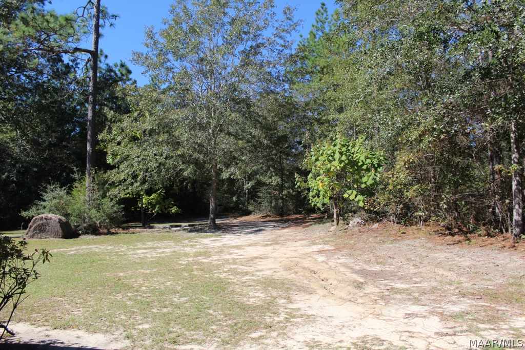 401 Crocket Road Samson, AL 36477 - Photo 33 of 36 Gallery Image 33