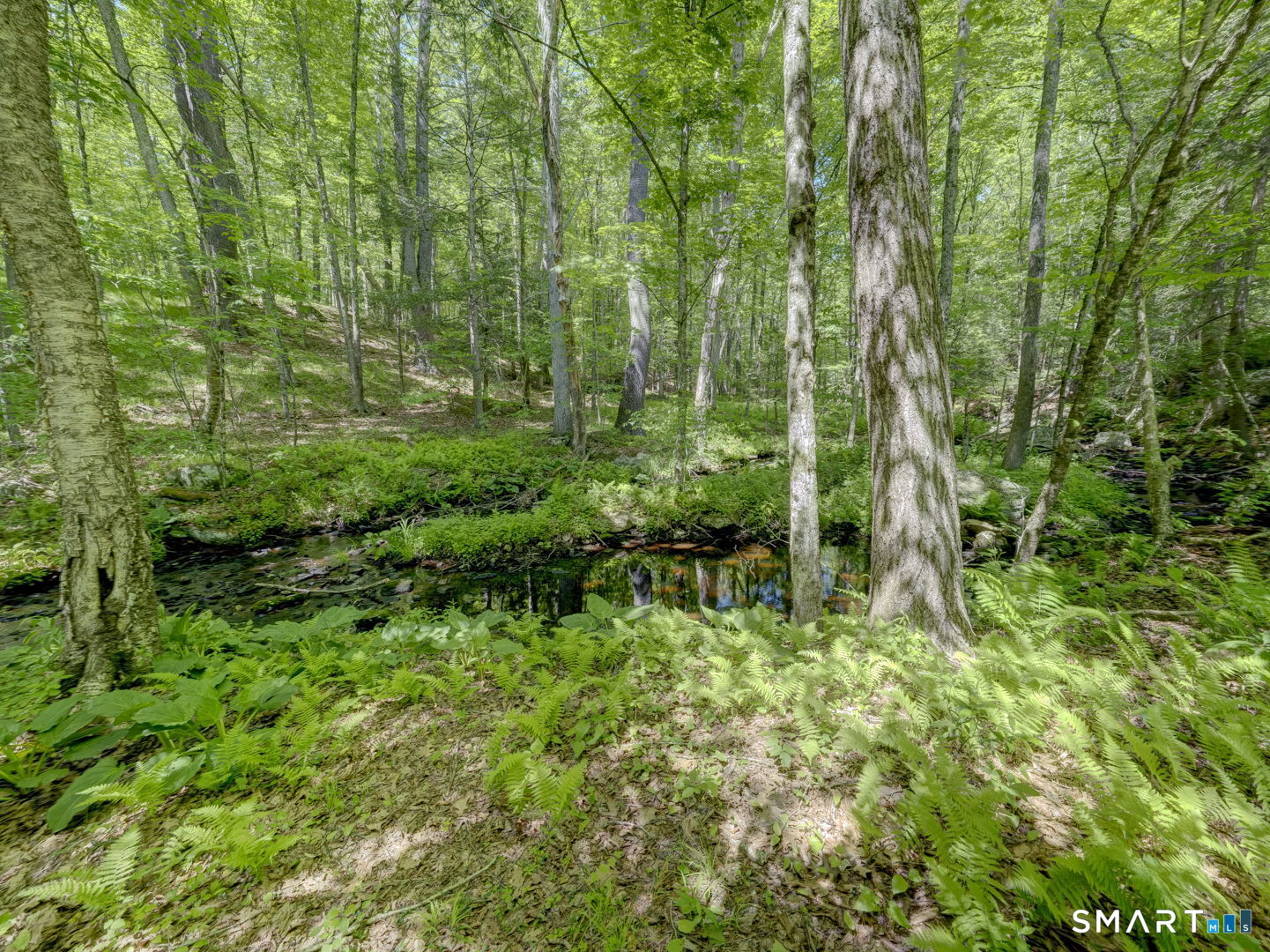 177 James Road Ashford, CT 06278 - Photo 29 of 40