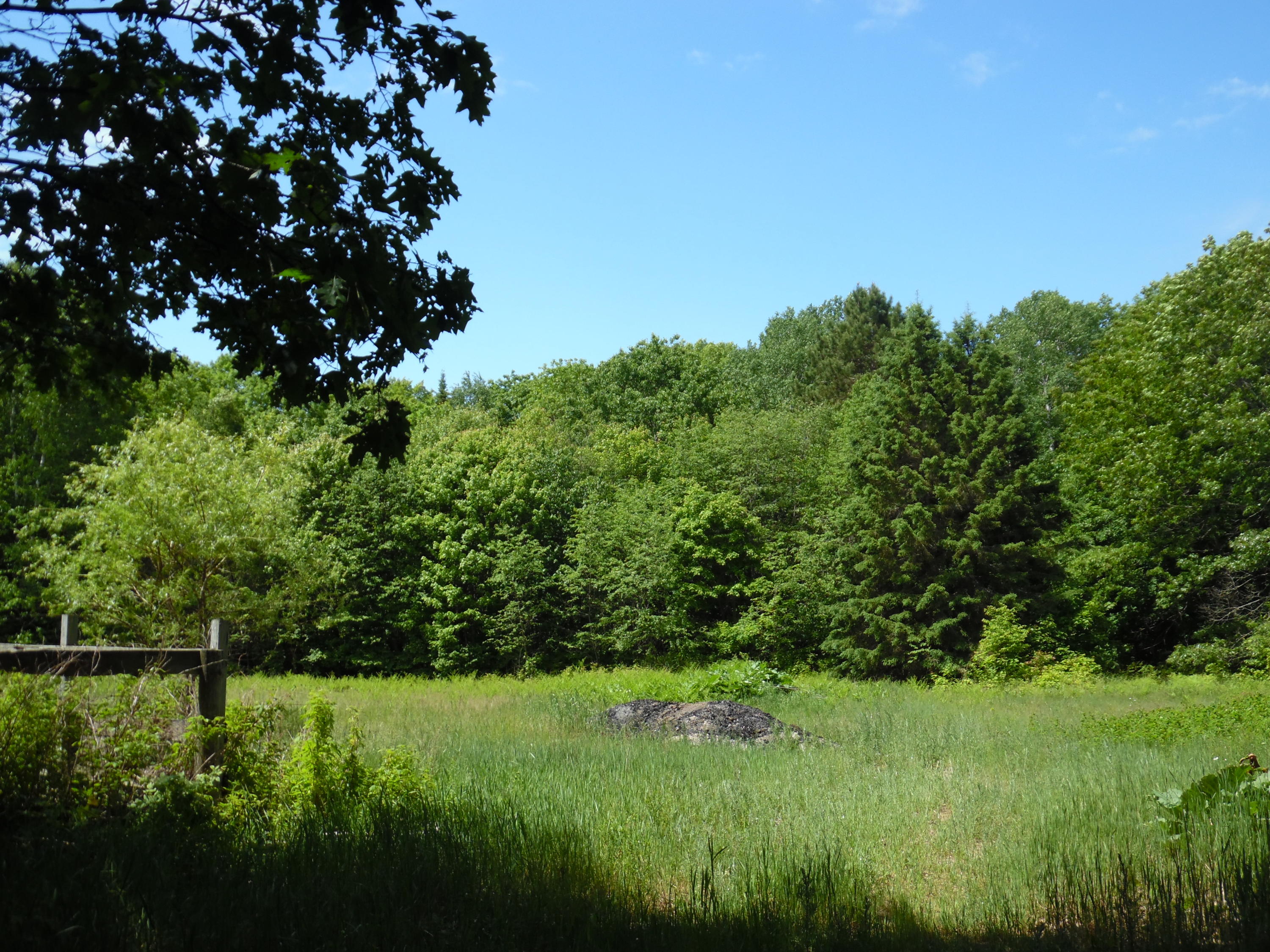 25142 South Fairview Road Pickford, MI 49774 - Photo 3 of 48 Gallery Image 3