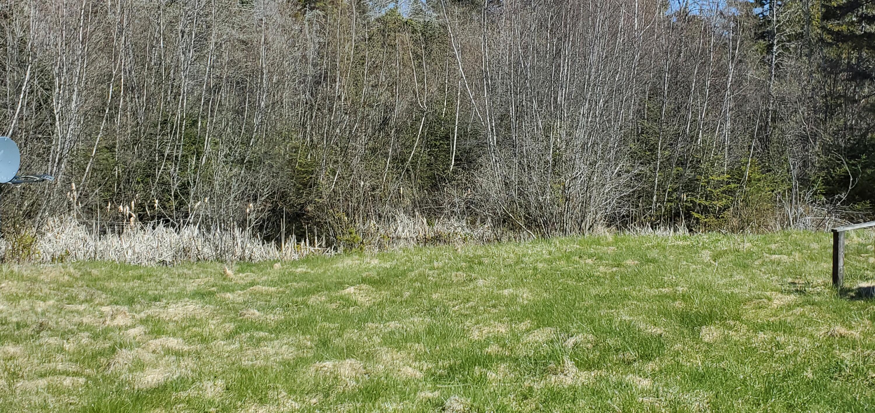 294 New Road Penobscot, ME 04476 - Photo 15 of 18 20220509_150021