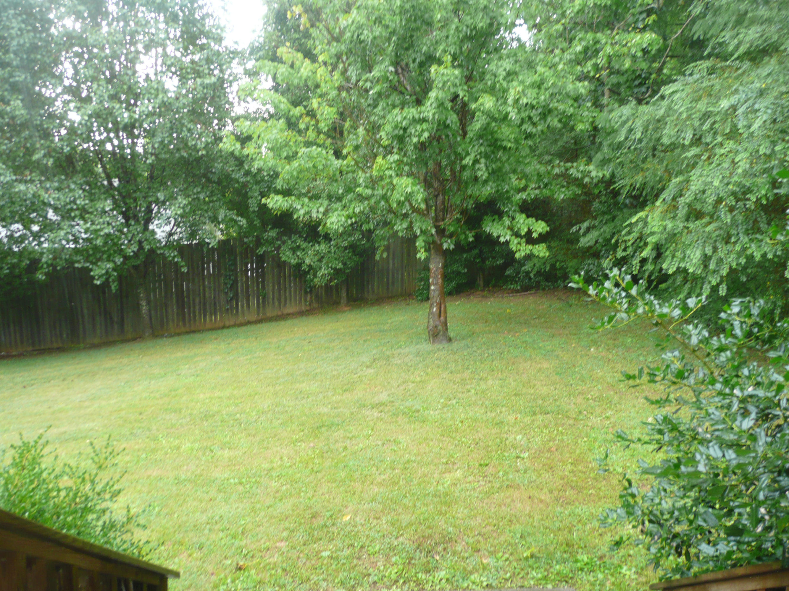 3913 Freels Road, Unit 44055 Friendsville, TN 37737 - Photo 17 of 21 P1100112