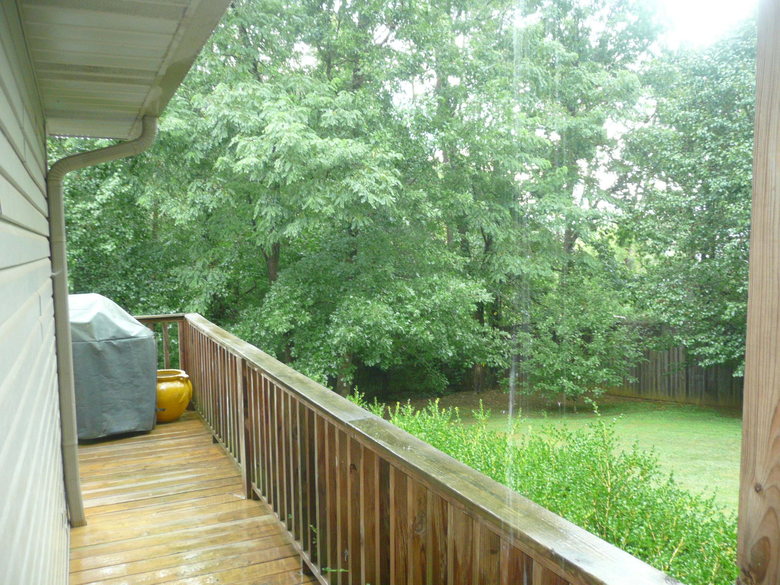 3913 Freels Road, Unit 44055 Friendsville, TN 37737 - Photo 18 of 21 P1100113