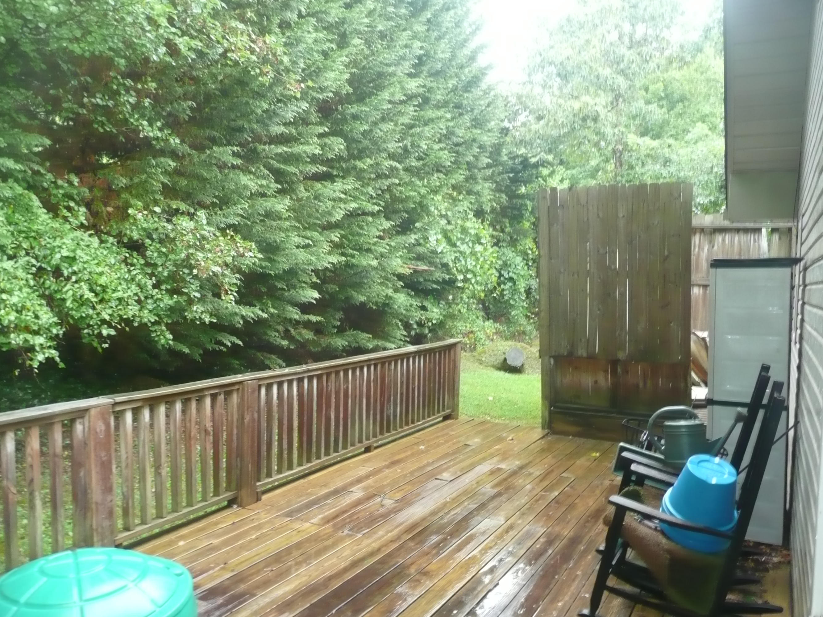 3913 Freels Road, Unit 44055 Friendsville, TN 37737 - Photo 19 of 21 P1100114