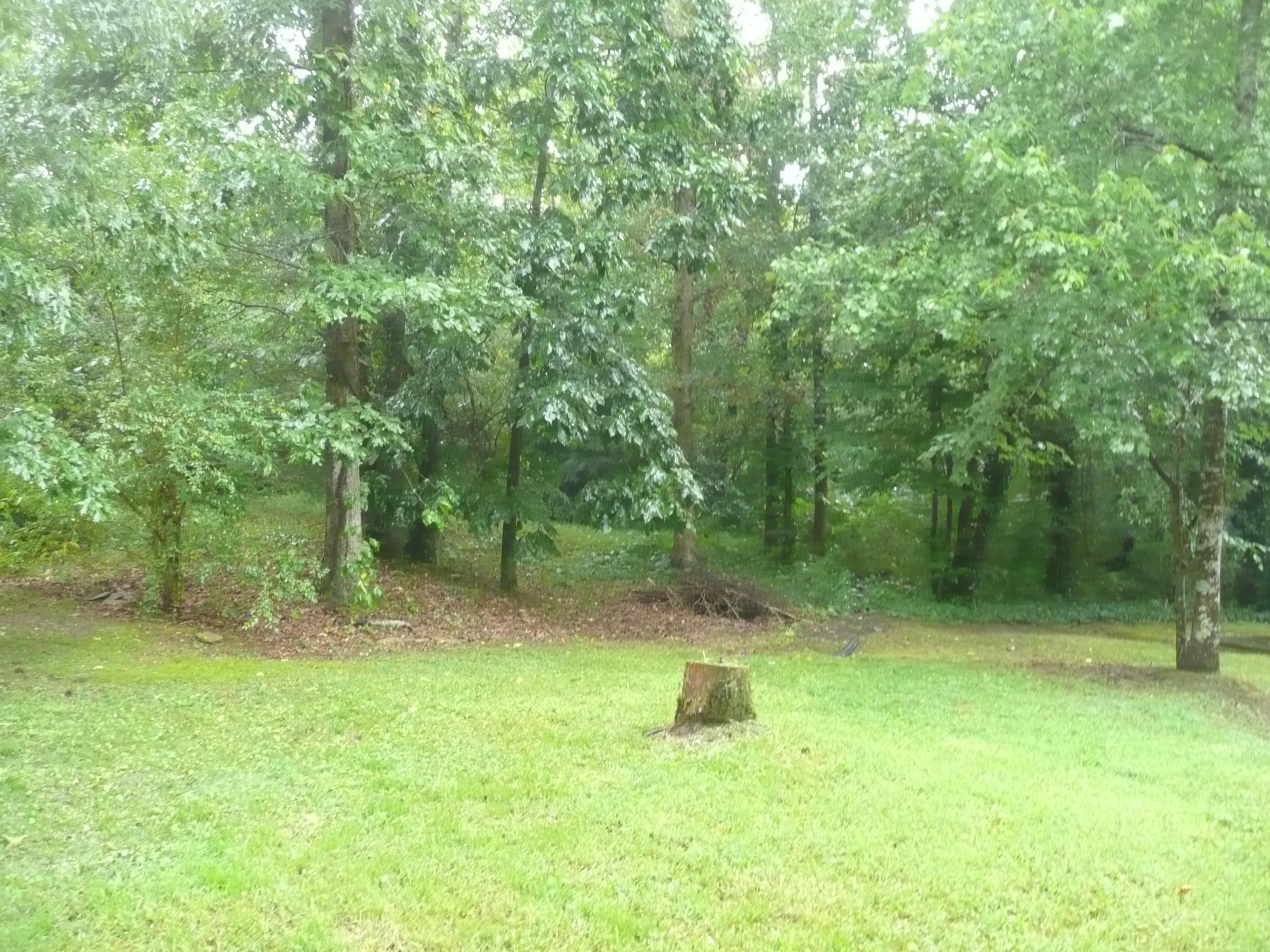 3913 Freels Road, Unit 44055 Friendsville, TN 37737 - Photo 21 of 21 P1100116