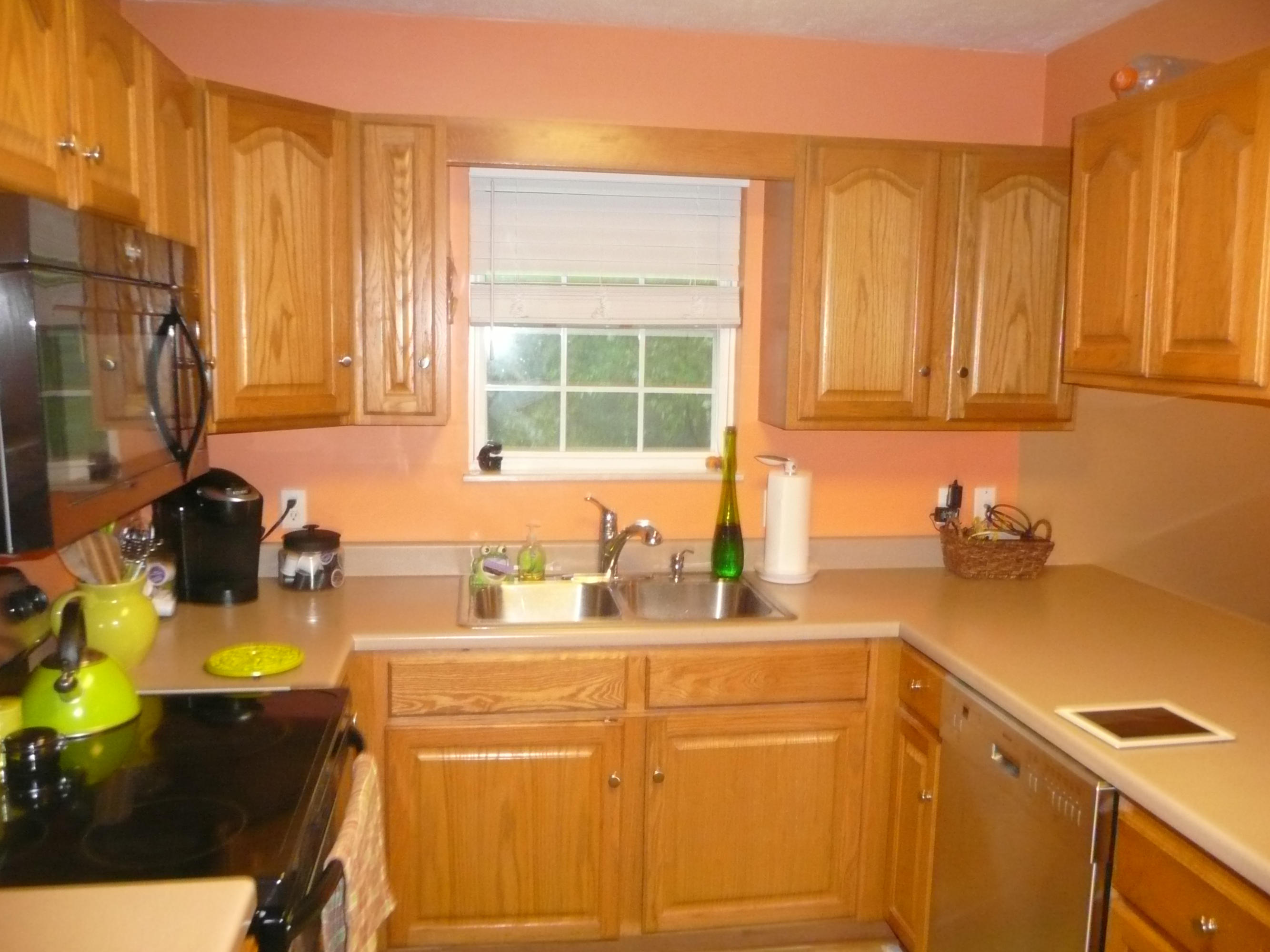 3913 Freels Road, Unit 44055 Friendsville, TN 37737 - Photo 5 of 21 P1100101