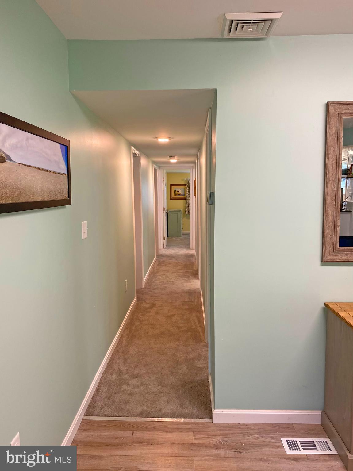 28098 Carpenter Road Milton, DE 19968 - Photo 12 of 35 Hallway to the Bedrooms & Baths