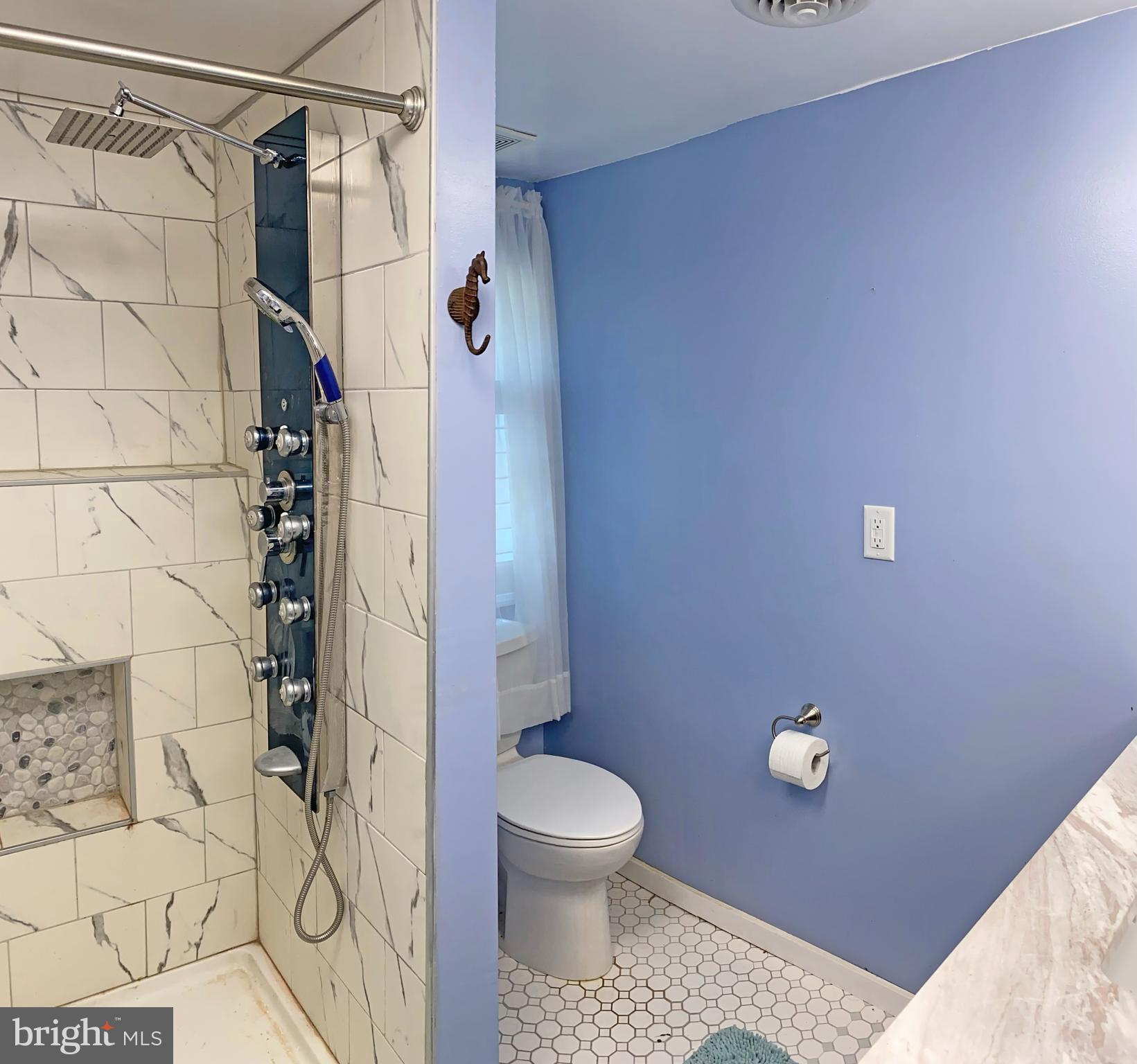 28098 Carpenter Road Milton, DE 19968 - Photo 17 of 35 Full Bath with Tiled Shower Stall