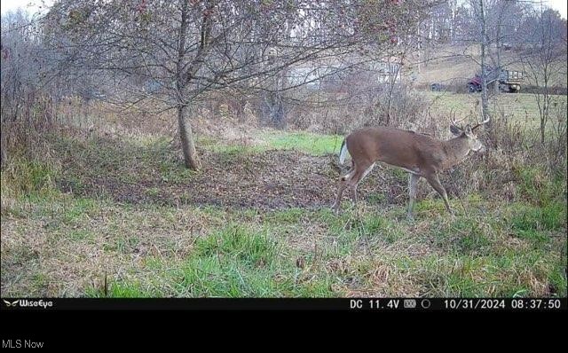 Toker Road Hopedale, OH 43976 - Photo 7 of 28 Gallery Image 7
