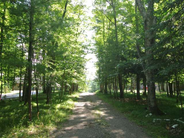 7776 Blue Lake Point Road Minocqua, WI 54548 - Photo 16 of 19 Gallery Image 16