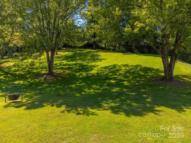 a view of a large yard with large trees
