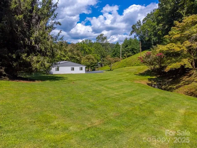 a view of a big yard with swimming pool and green space