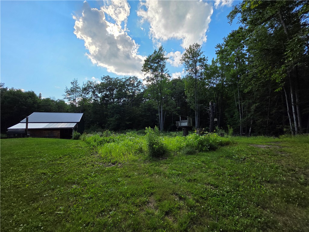 4679 Cook Road Woodhull, NY 14898 - Photo 8 of 49