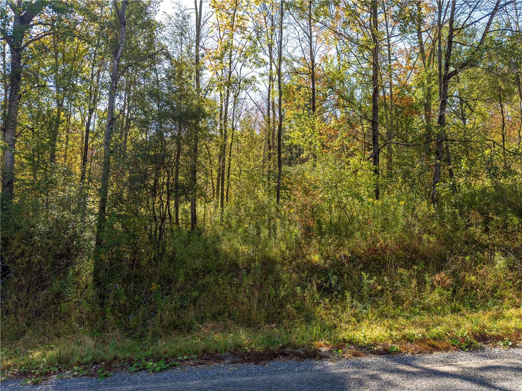 Reservoir Hill Road Norwich, NY 13815 - Photo 40 of 50