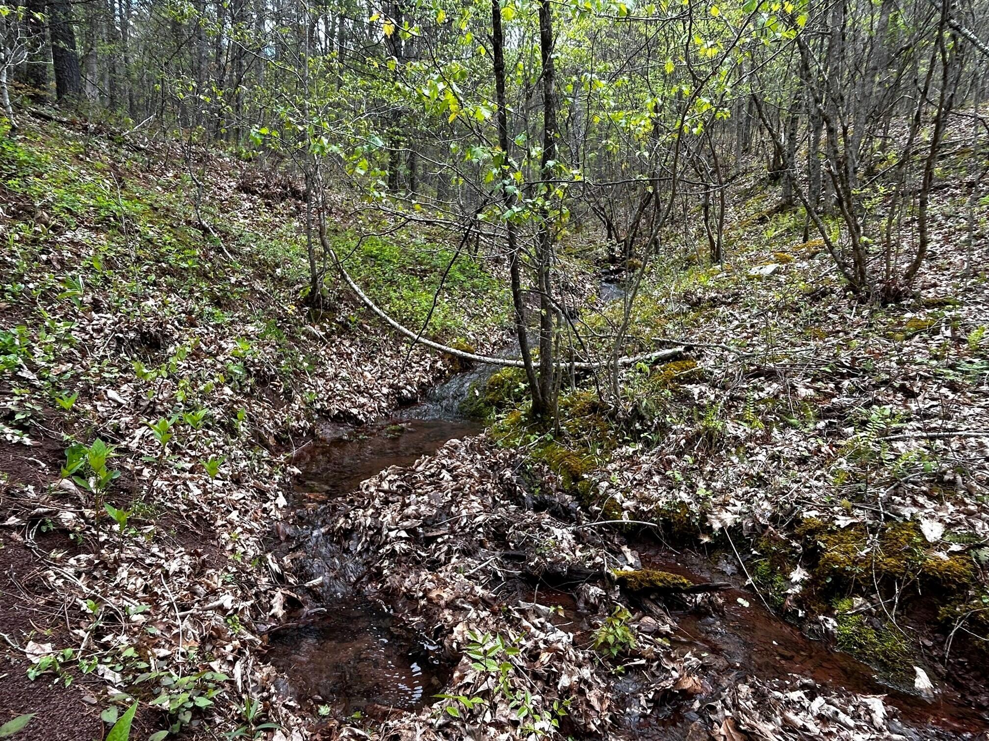 Wolf Hills Road Gap Mills, WV 24941 - Photo 3 of 15 Gallery Image 3