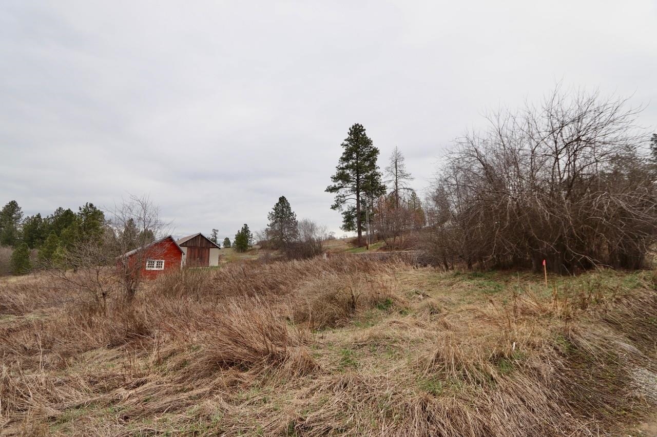 427 Northeast Stringham Road Rockford, WA 99030 - Photo 12 of 21