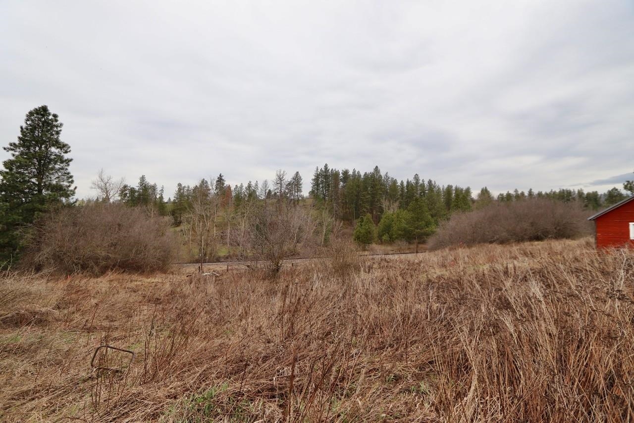 427 Northeast Stringham Road Rockford, WA 99030 - Photo 13 of 21