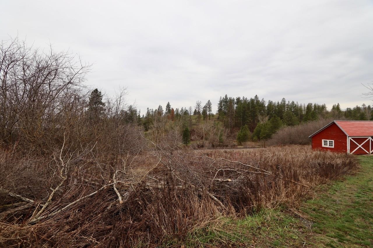 427 Northeast Stringham Road Rockford, WA 99030 - Photo 15 of 21