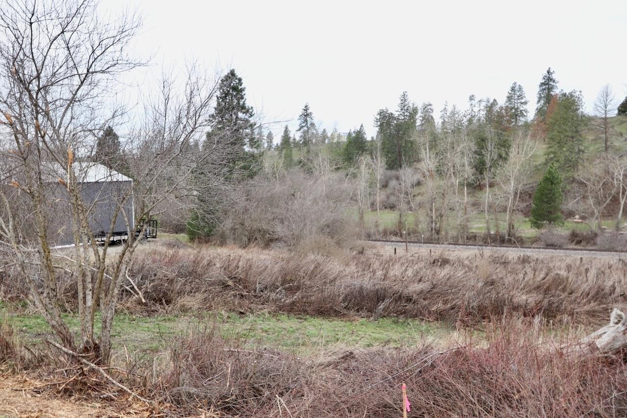 427 Northeast Stringham Road Rockford, WA 99030 - Photo 18 of 21