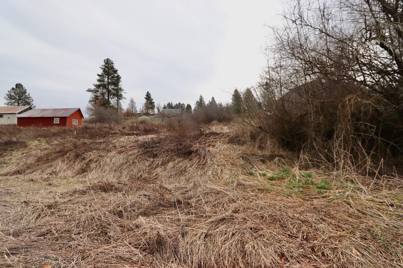 427 Northeast Stringham Road Rockford, WA 99030 - Photo 4 of 21