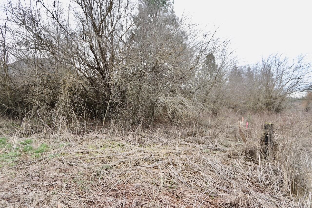 427 Northeast Stringham Road Rockford, WA 99030 - Photo 5 of 21