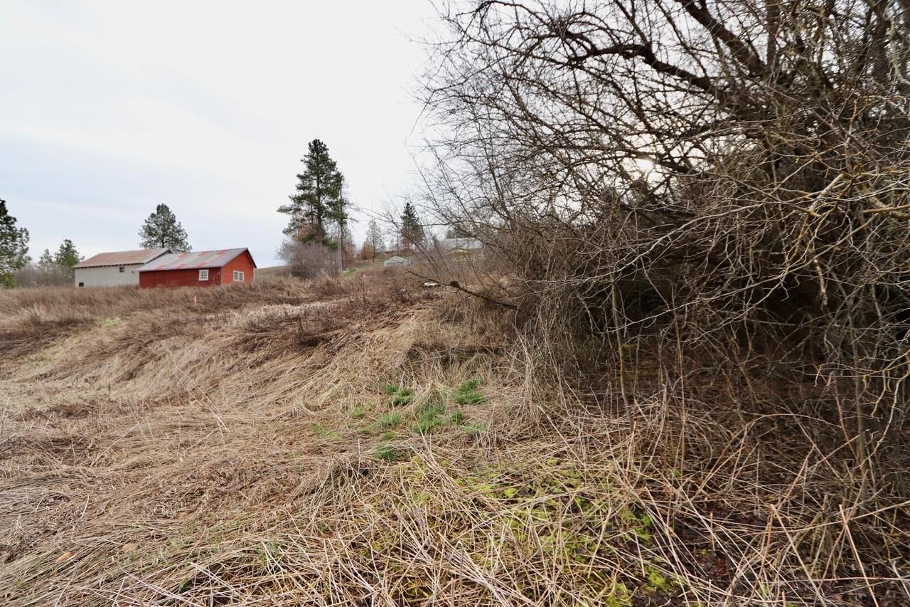 427 Northeast Stringham Road Rockford, WA 99030 - Photo 6 of 21