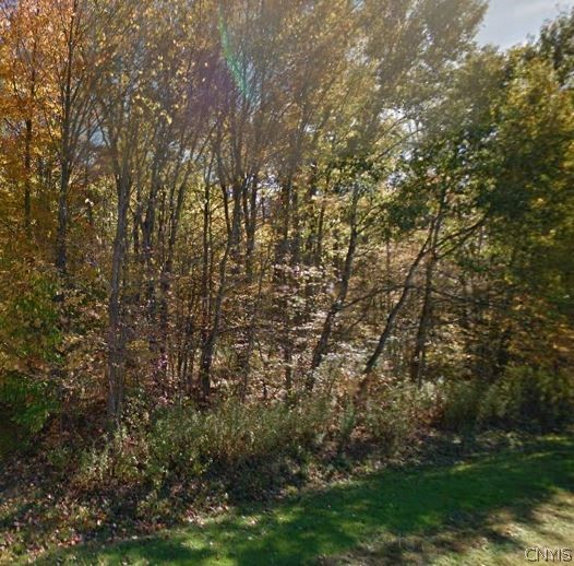 0 Bangall Road Parish, NY 13131 - Photo 1 of 1