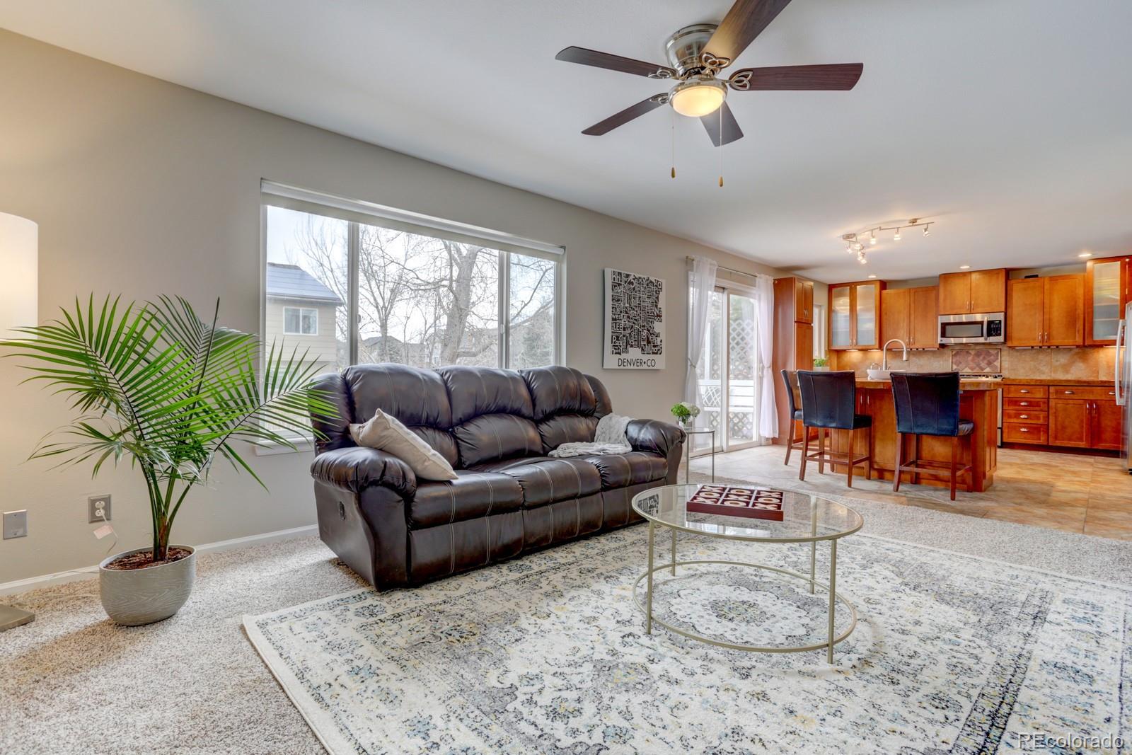801 Riddlewood Lane Highlands Ranch, CO 80129 - Photo 11 of 40 a living room with furniture and a potted plant