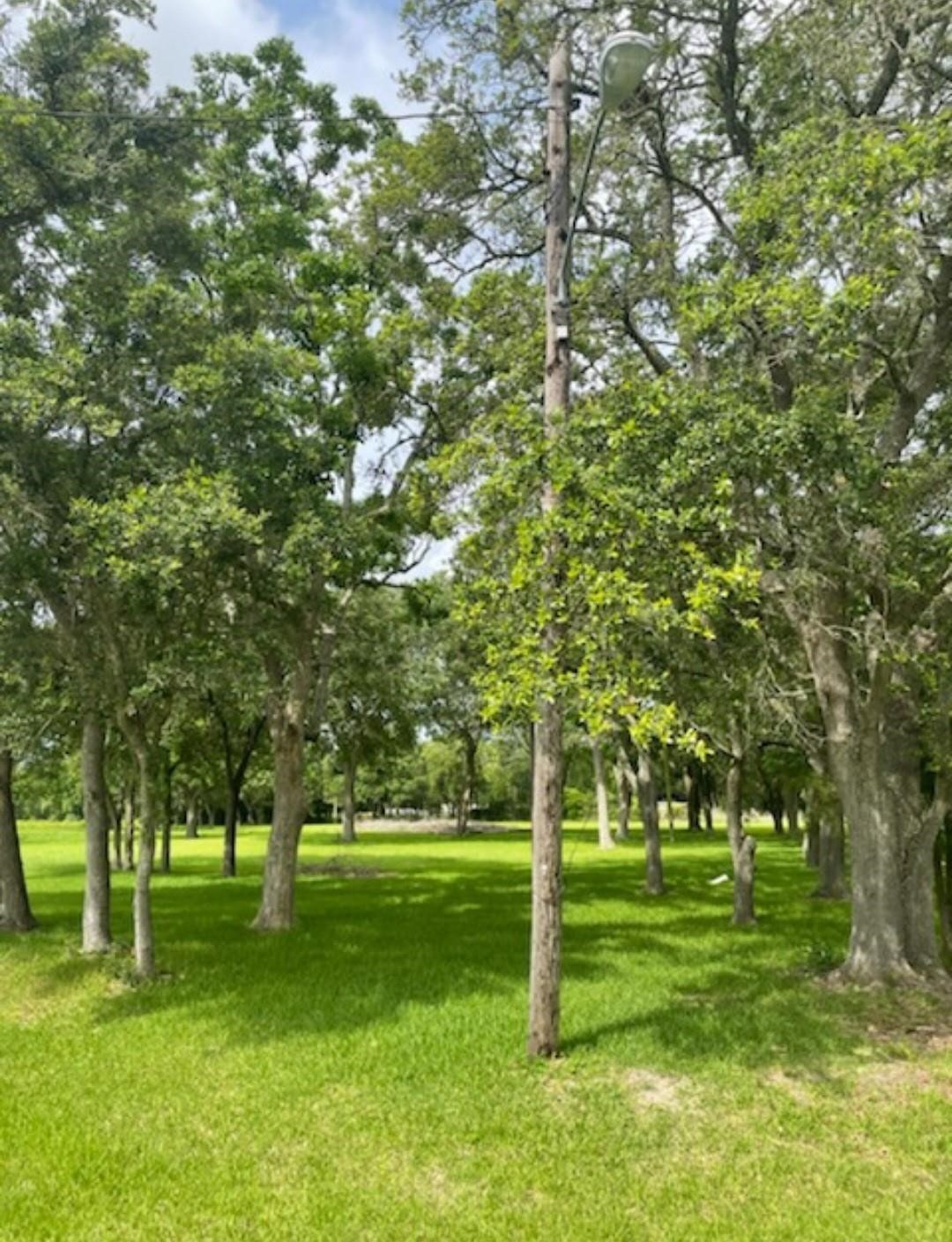 2702 Lake Road La Marque, TX 77568 - Photo 1 of 5 Beautiful 2 shady acres to build your dream home