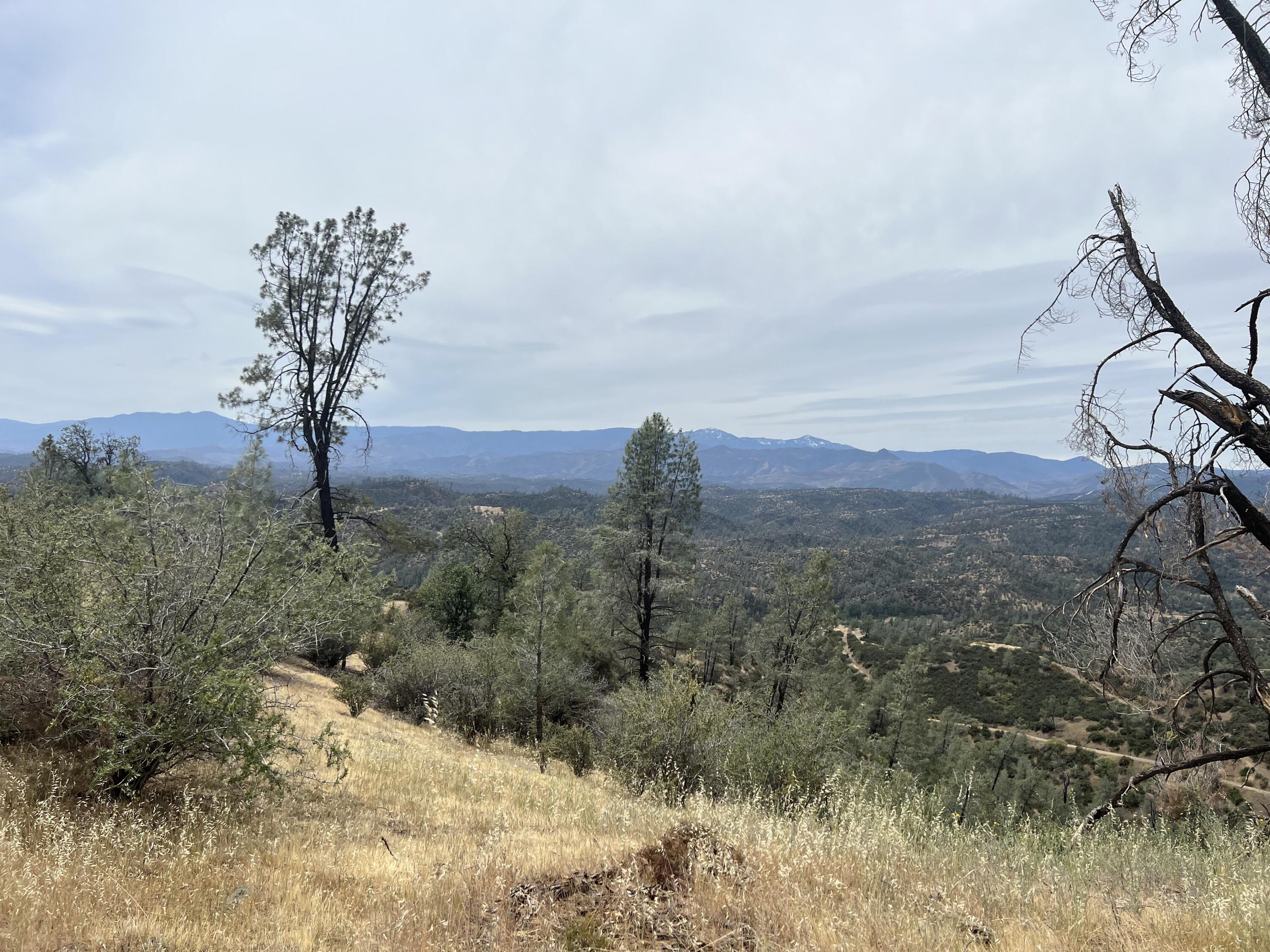 166 Yolla Bolly Road Igo, CA 96047 - Photo 2 of 15 IMG_1761