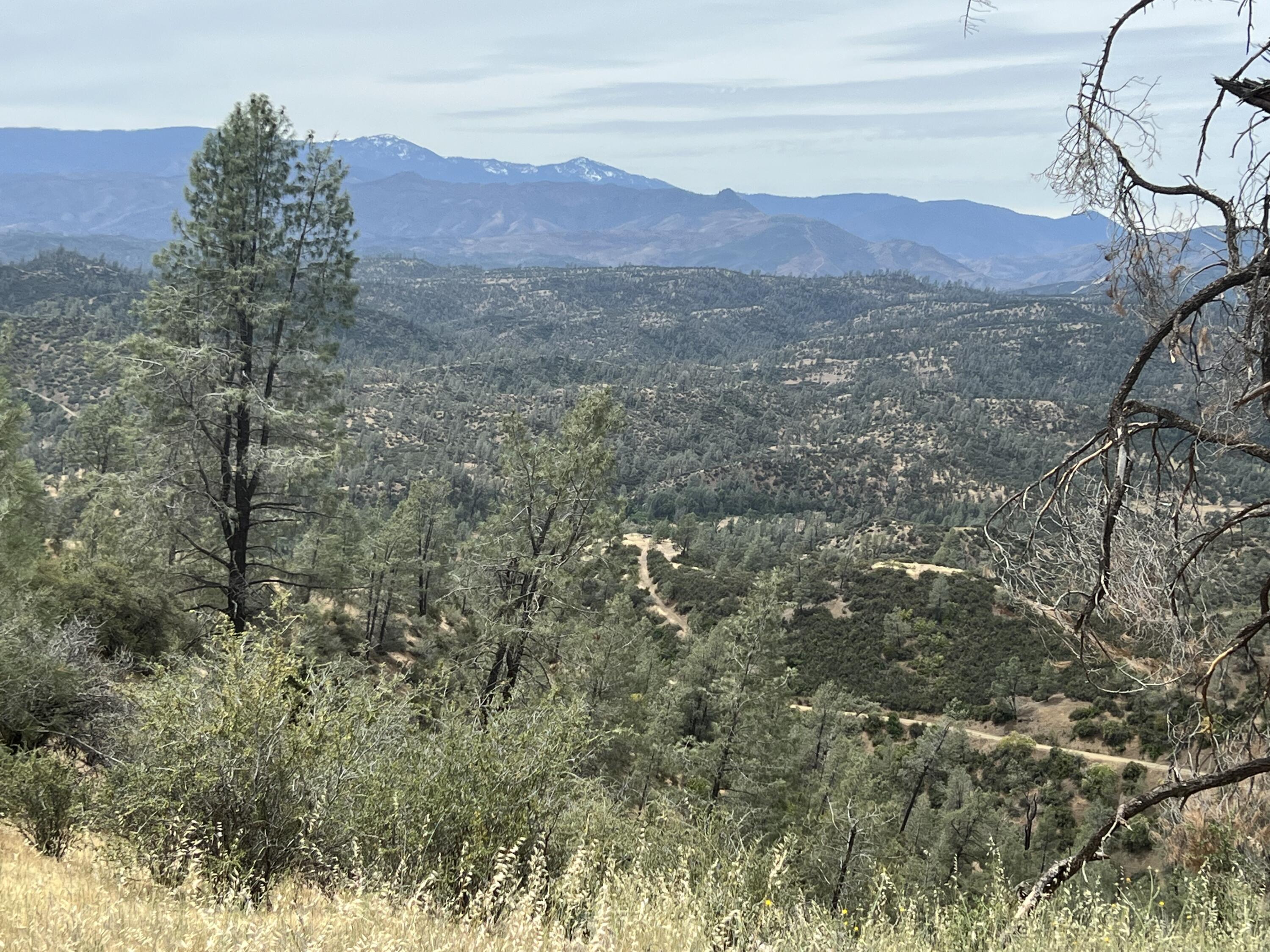 166 Yolla Bolly Road Igo, CA 96047 - Photo 3 of 15 IMG_1763
