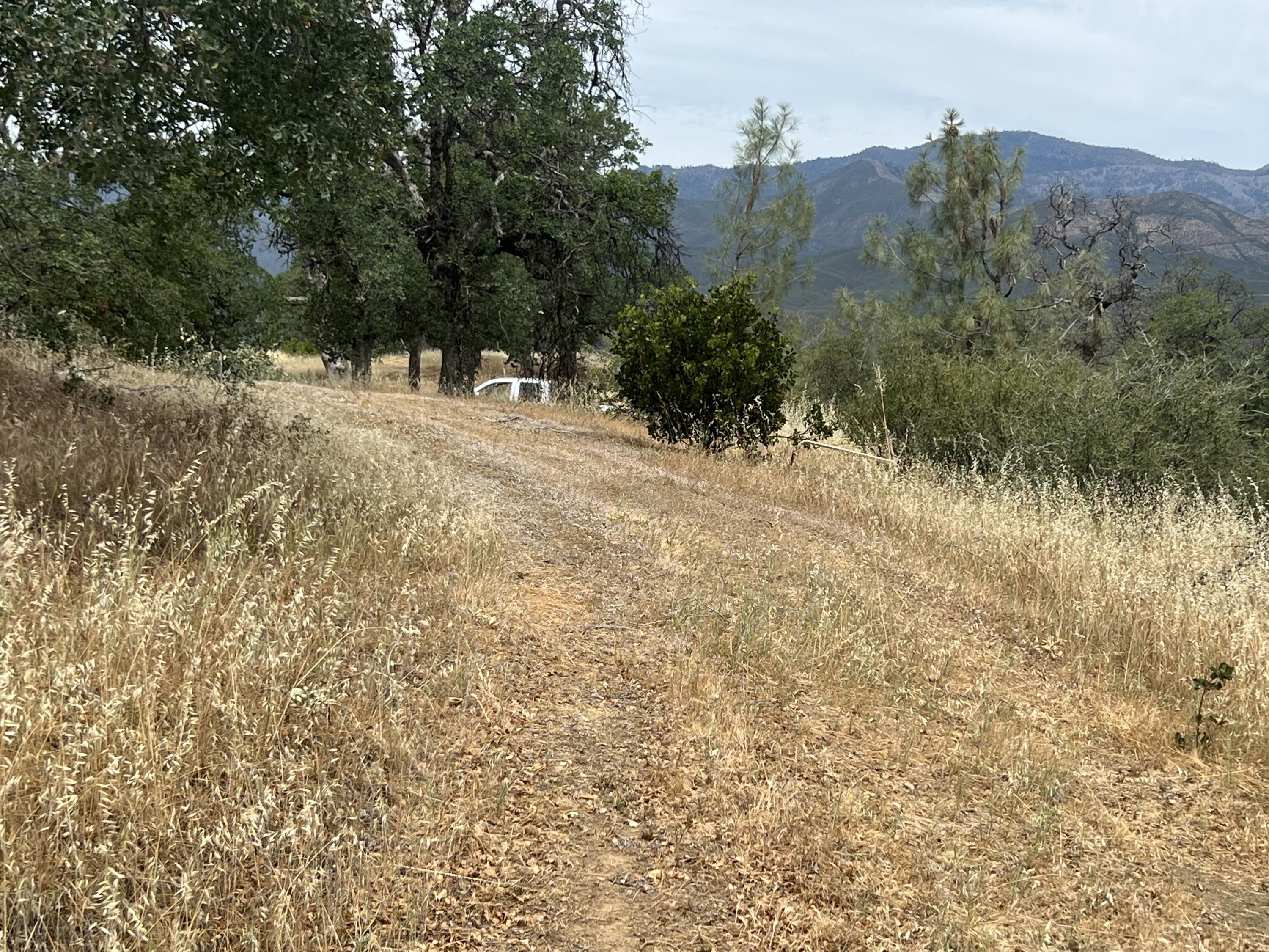 166 Yolla Bolly Road Igo, CA 96047 - Photo 4 of 15 IMG_1764