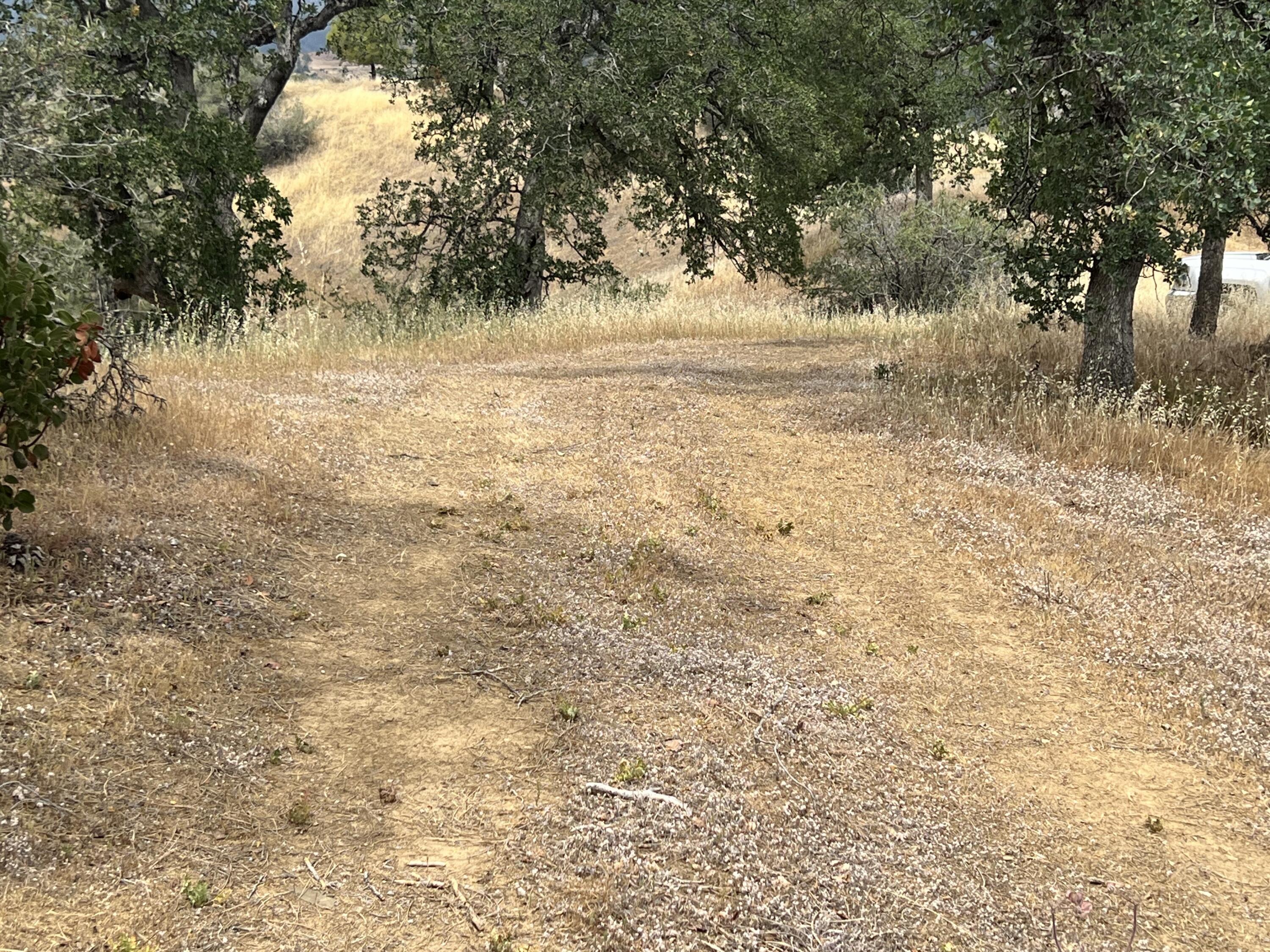 166 Yolla Bolly Road Igo, CA 96047 - Photo 5 of 15 IMG_1765