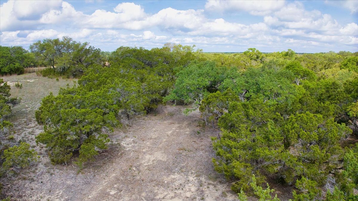 24369 Round Mountain Road, Unit 6 Leander, TX 78641 - Photo 11 of 28 View of nature