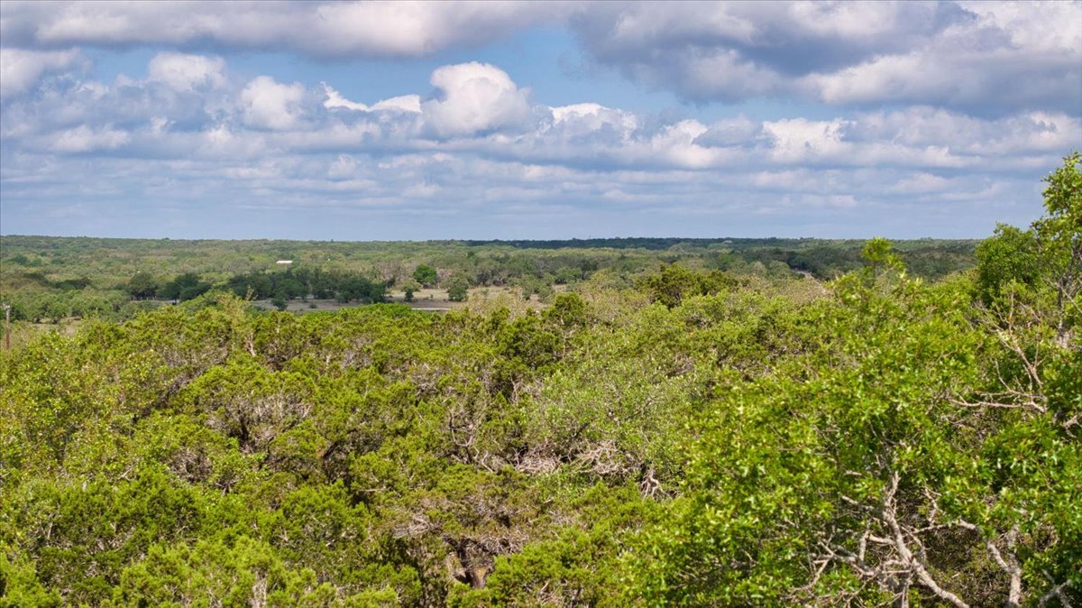 24369 Round Mountain Road, Unit 6 Leander, TX 78641 - Photo 12 of 28 View of local wilderness featuring a wooded view