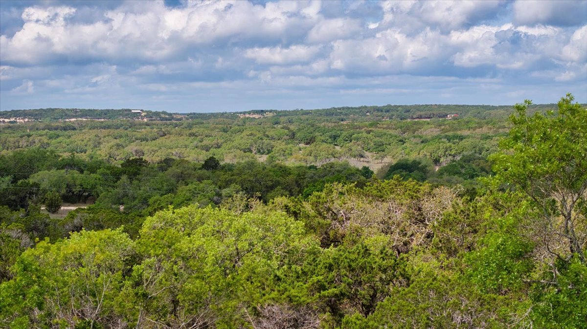 24369 Round Mountain Road, Unit 6 Leander, TX 78641 - Photo 16 of 28 View of nature with a forest view