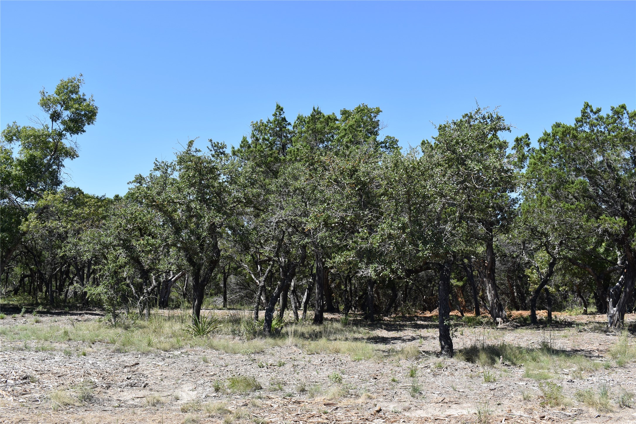 24369 Round Mountain Road, Unit 6 Leander, TX 78641 - Photo 17 of 28