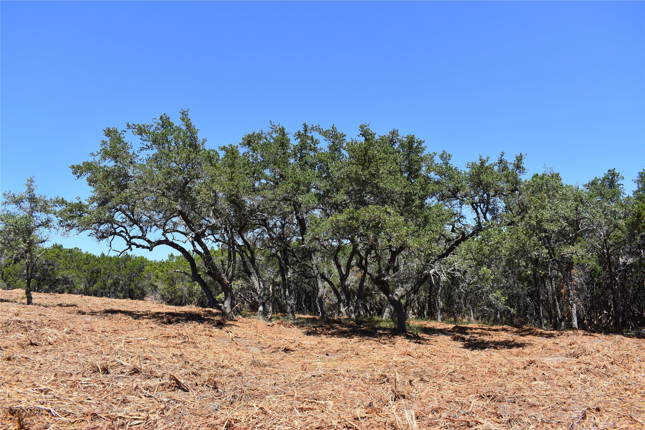 24369 Round Mountain Road, Unit 6 Leander, TX 78641 - Photo 18 of 28