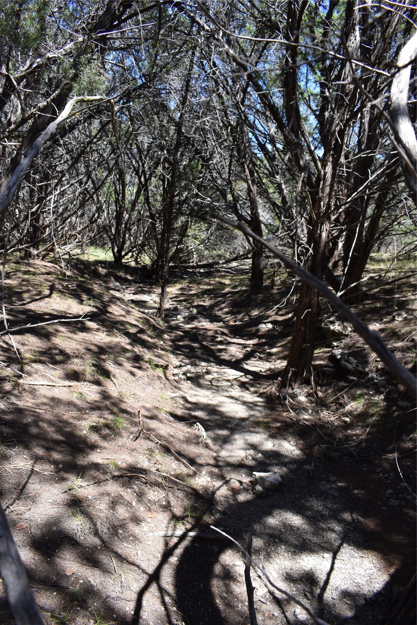 24369 Round Mountain Road, Unit 6 Leander, TX 78641 - Photo 19 of 28