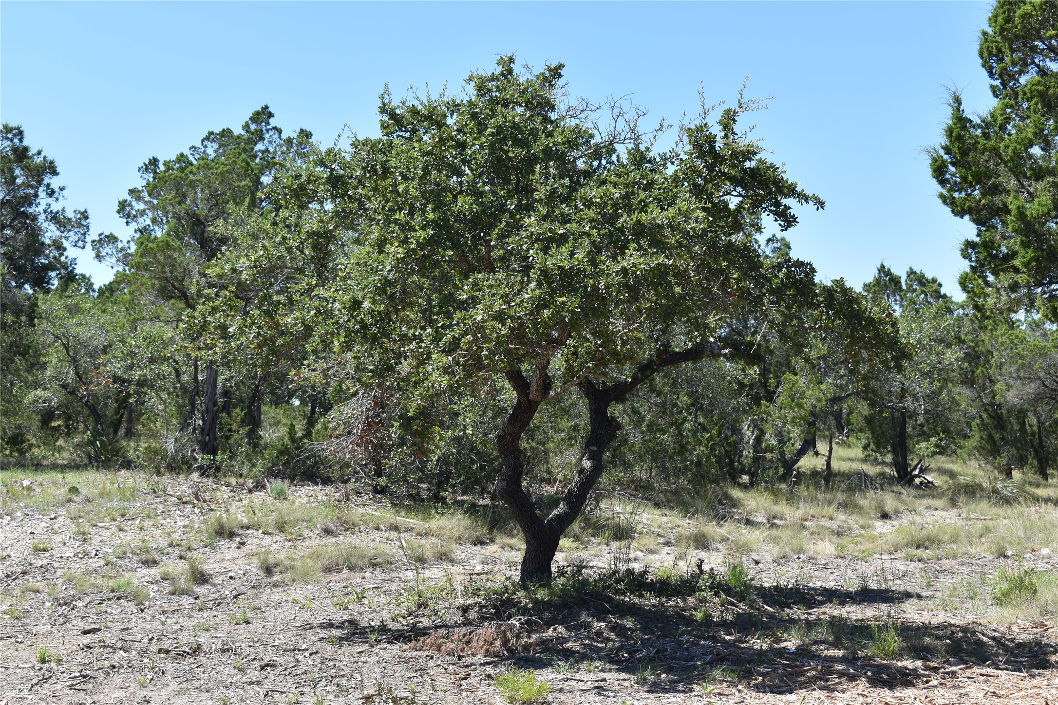 24369 Round Mountain Road, Unit 6 Leander, TX 78641 - Photo 20 of 28