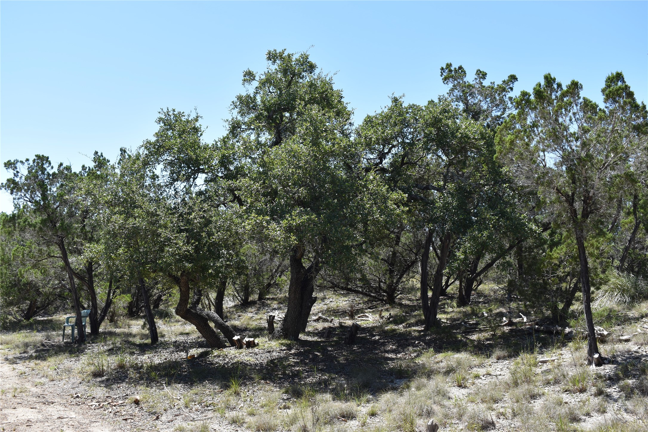 24369 Round Mountain Road, Unit 6 Leander, TX 78641 - Photo 21 of 28