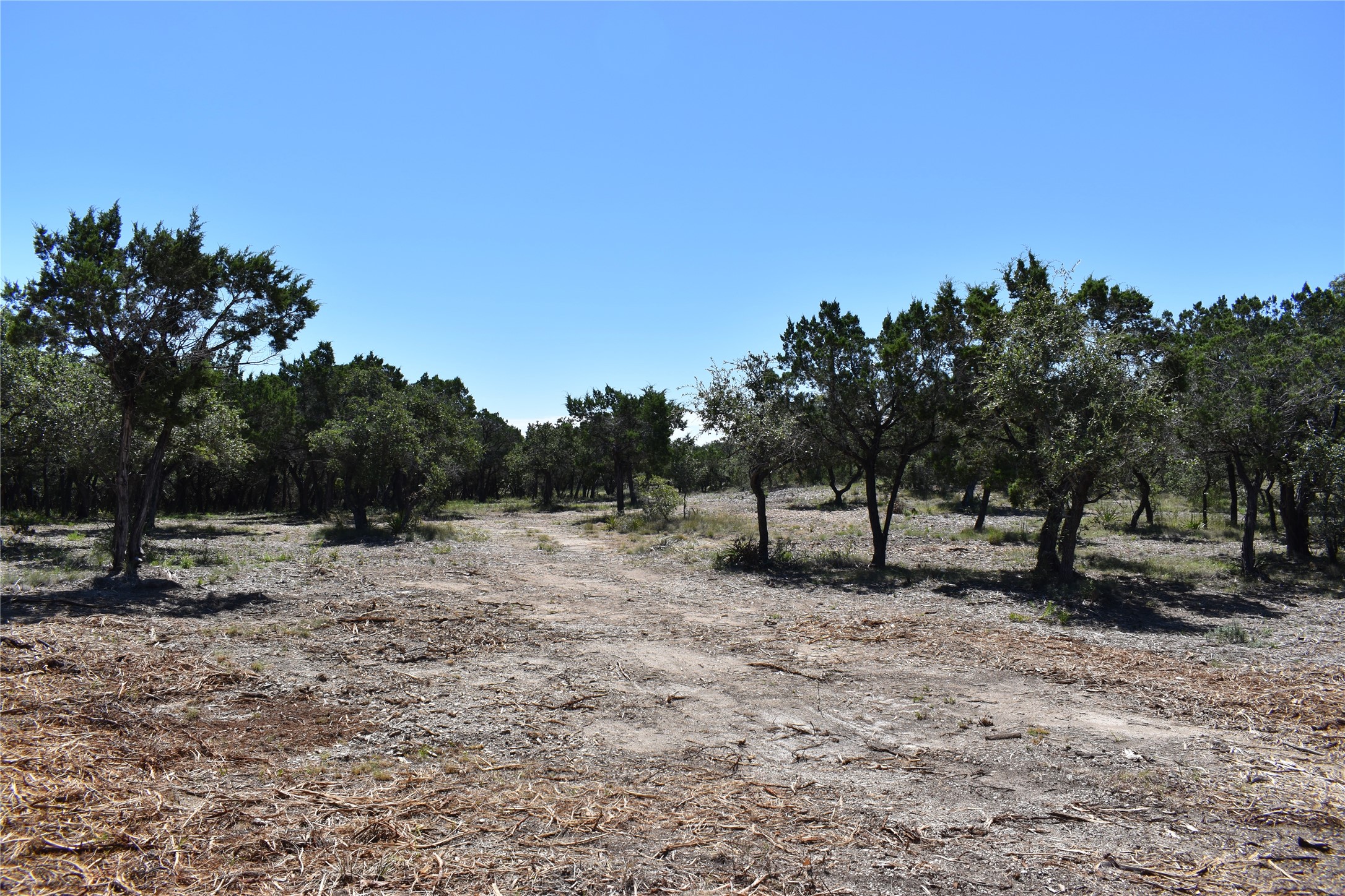 24369 Round Mountain Road, Unit 6 Leander, TX 78641 - Photo 23 of 28