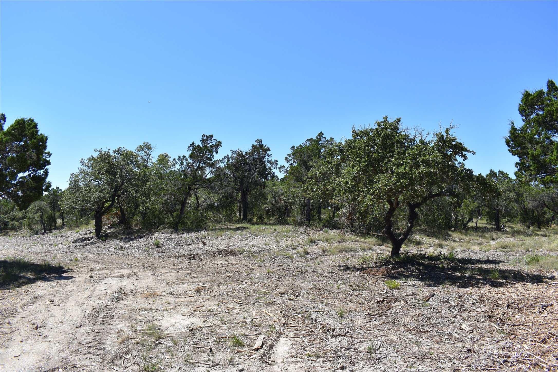 24369 Round Mountain Road, Unit 6 Leander, TX 78641 - Photo 24 of 28