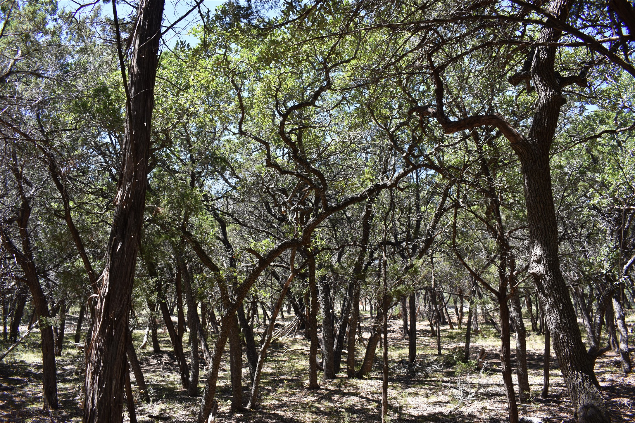 24369 Round Mountain Road, Unit 6 Leander, TX 78641 - Photo 26 of 28