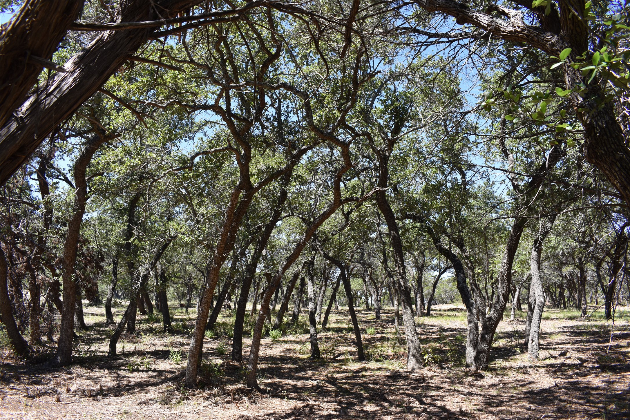 24369 Round Mountain Road, Unit 6 Leander, TX 78641 - Photo 27 of 28