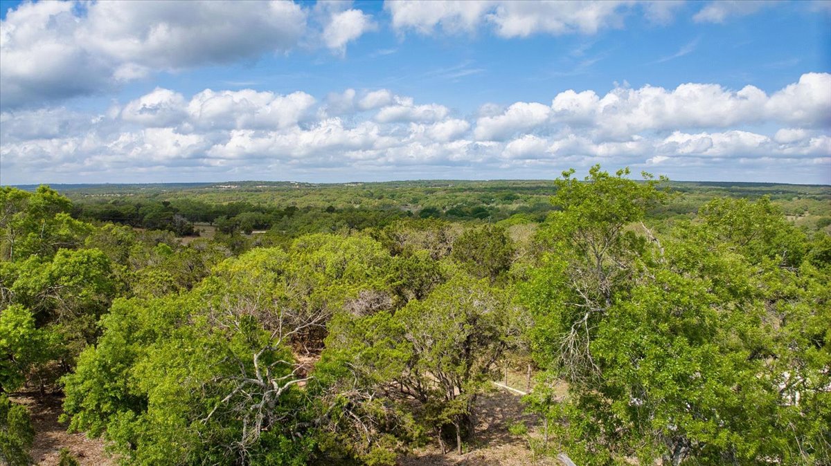 24369 Round Mountain Road, Unit 6 Leander, TX 78641 - Photo 3 of 28 View of landscape featuring a view of trees