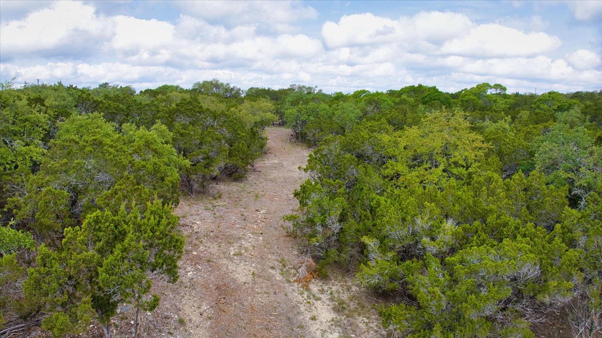 24369 Round Mountain Road, Unit 6 Leander, TX 78641 - Photo 8 of 28 View of local wilderness with a view of trees