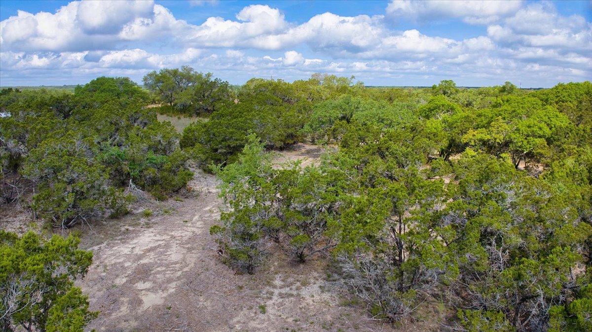 24369 Round Mountain Road, Unit 6 Leander, TX 78641 - Photo 10 of 28 View of local wilderness with a forest view