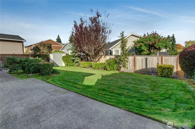a view of a backyard with potted plants and large trees
