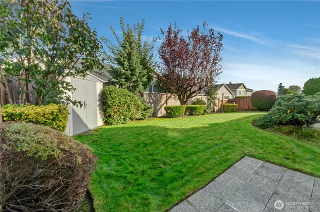 a view of a garden with trees